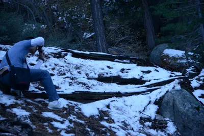 DSC_5234 (Large).JPG